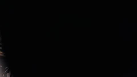 Snapshot of bigjohnofthewood chatting on January 24, 2025, 9:47 pm BigJohnOfTheWoods online show from January 24, 2025, 9:47 pm