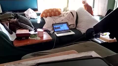 Snapshot of bigmanaround9 chatting on February 3, 2025, 9:07 pm bigmanaround9 online show from February 3, 2025, 9:07 pm