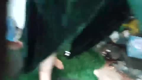 Snapshot of bigmanaround9 chatting on September 15, 2025, 8:47 am bigmanaround9 online show from September 15, 2025, 8:47 am