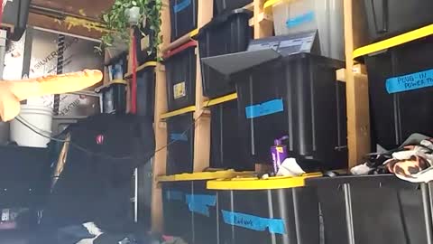 Snapshot of bigmanaround9 chatting on December 15, 2025, 8:35 pm bigmanaround9 online show from December 15, 2025, 8:35 pm