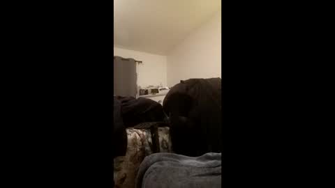 bigmeatywidesolelover online show from April 21, 2026, 1:50 pm