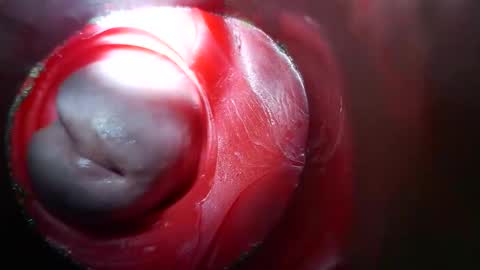 Snapshot of bigmoneycorey chatting on March 10, 2026, 3:50 pm bigmoneycorey online show from March 10, 2026, 3:50 pm