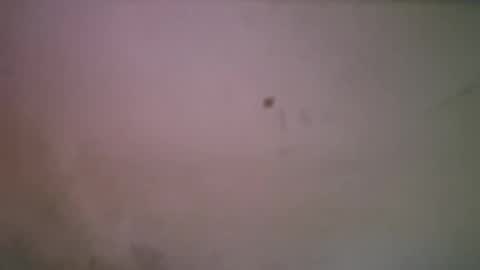 bigsssnake69 online show from April 21, 2026, 1:42 am