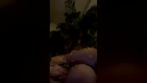 Snapshot of bigtitopal chatting on January 6, 2026, 7:34 am bigtitopal online show from January 6, 2026, 7:34 am