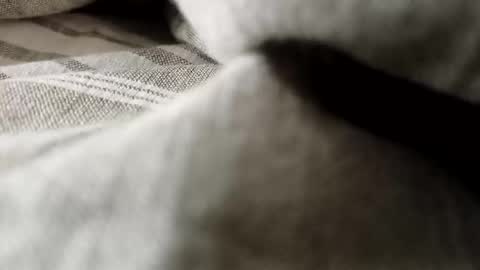 Snapshot of billy7801801010 chatting on February 20, 2026, 1:13 am billy7801801010 online show from February 20, 2026, 1:13 am