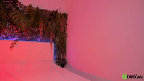 Jenny online show from December 12, 2024, 2:55 pm