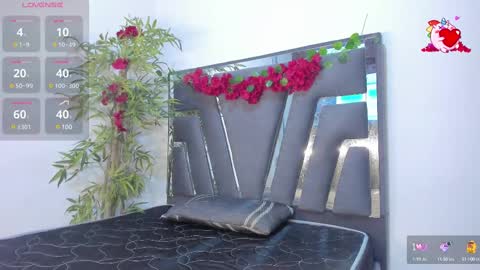 Snapshot of black_rose02 chatting on February 19, 2025, 11:28 am B L A C K R O S E online show from February 19, 2025, 11:28 am