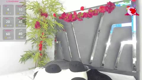 Snapshot of black_rose02 chatting on March 6, 2025, 11:47 am B L A C K R O S E online show from March 6, 2025, 11:47 am