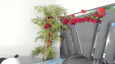 Snapshot of black_rose02 chatting on March 12, 2025, 2:56 pm B L A C K R O S E online show from March 12, 2025, 2:56 pm
