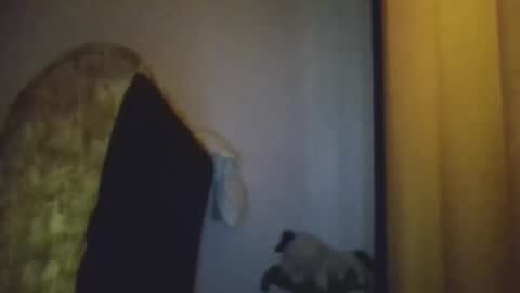 black african online show from November 20, 2025, 5:29 am