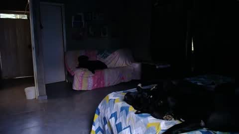 Snapshot of blackpanter_13 chatting on April 29, 2026, 11:25 am Black Panther online show from April 29, 2026, 11:25 am