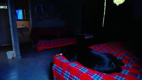 Snapshot of blackpanter_13 chatting on May 1, 2026, 11:04 am Black Panther online show from May 1, 2026, 11:04 am