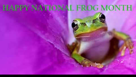 Queen Siren online show from April 1, 2026, 8:26 am