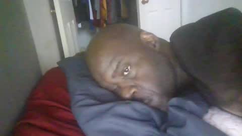 blackteddybear online show from January 19, 2026, 3:05 pm