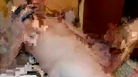 blagoy07 online show from December 15, 2025, 11:09 pm