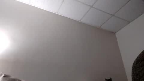 Snapshot of blahblam420 chatting on February 5, 2025, 7:50 am blahblam420 online show from February 5, 2025, 7:50 am