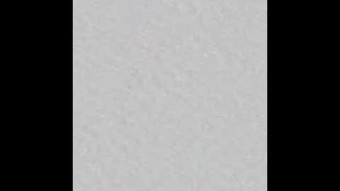 Blase Hase12 online show from October 28, 2025, 8:33 pm