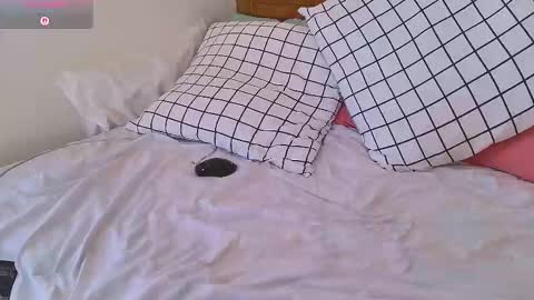 Sasha online show from February 2, 2026, 7:51 am