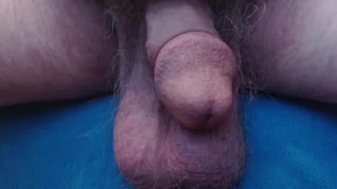 bluebee420 online show from October 22, 2025, 8:58 am