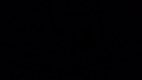 blueishgoldish online show from March 23, 2026, 12:14 am