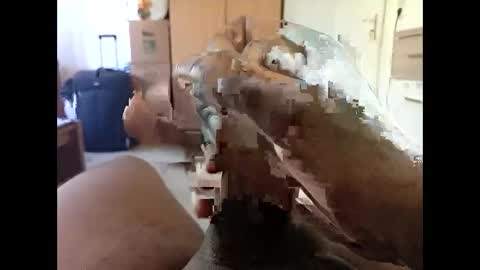 bluemarveld online show from April 30, 2026, 9:48 am