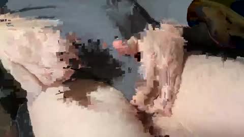 Snapshot of bobbyboobycummy chatting on March 3, 2025, 1:53 pm Heath online show from March 3, 2025, 1:53 pm