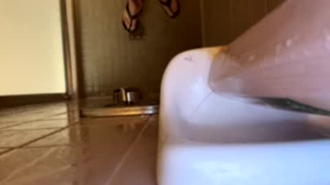 Swingingdong online show from March 21, 2026, 4:17 am