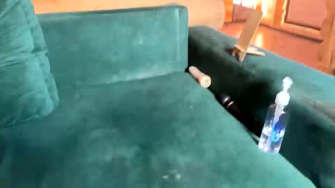 Nail and Olivia online show from October 8, 2025, 10:35 am