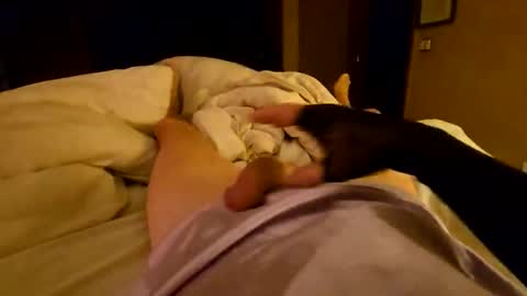 silky sissy sarah online show from April 6, 2026, 10:05 am