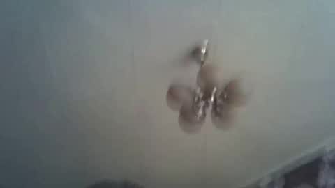 bony_may4 online show from January 12, 2025, 11:28 am