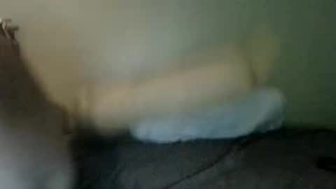 Snapshot of booboobumbum1 chatting on June 9, 2026, 7:14 pm booboobumbum1 online show from June 9, 2026, 7:14 pm