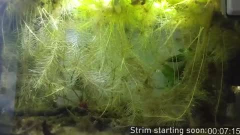 Booker Baxton online show from January 15, 2025, 4:04 am