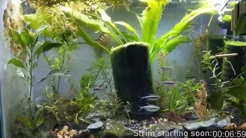 Booker Baxton online show from February 11, 2025, 4:01 am