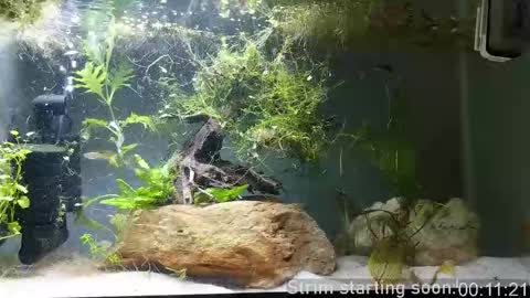 Booker Baxton online show from September 21, 2025, 2:57 am