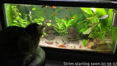 Booker Baxton online show from December 5, 2025, 3:59 am