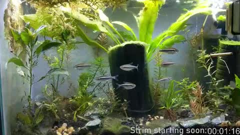 Booker Baxton online show from December 16, 2025, 4:06 am