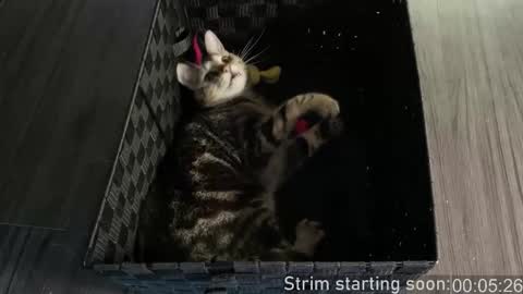 Booker Baxton online show from January 7, 2026, 4:04 am