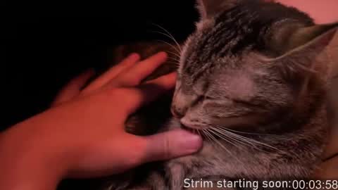 Booker Baxton online show from February 12, 2026, 4:07 am