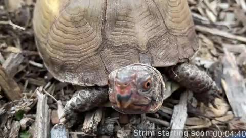 Booker Baxton online show from April 1, 2026, 3:07 am