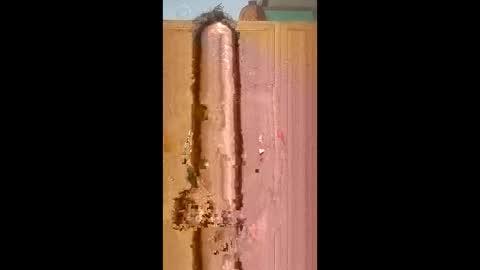 Snapshot of bossusaround chatting on February 9, 2026, 5:50 pm bossusaround online show from February 9, 2026, 5:50 pm