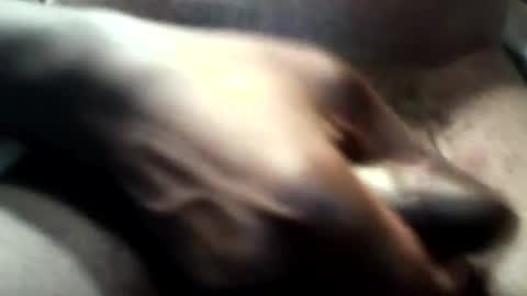 botofogo online show from October 31, 2025, 3:46 pm