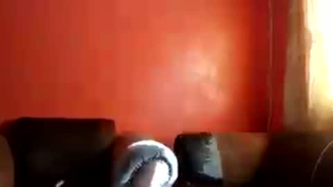 Snapshot of botsougaba chatting on July 27, 2026, 7:48 am botsougaba online show from July 27, 2026, 7:48 am
