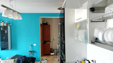 Snapshot of boy_aroundtheworld chatting on September 13, 2025, 10:26 am Dan online show from September 13, 2025, 10:26 am