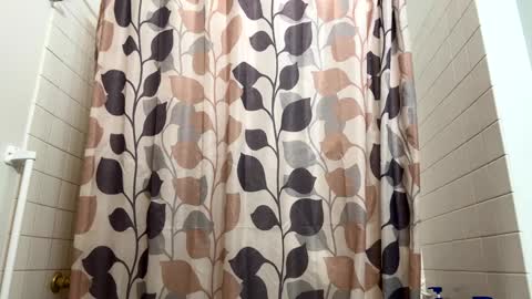 boysetsfire34 online show from February 21, 2025, 9:32 pm