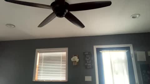 boytoy8969 online show from January 14, 2025, 4:18 pm