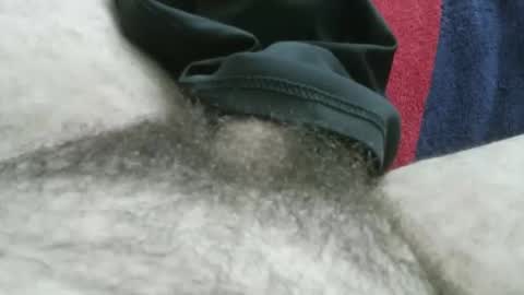 bpllpd online show from January 11, 2026, 4:45 pm