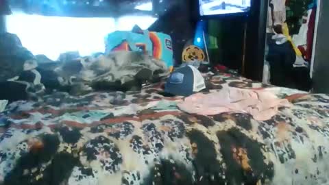 breezworld online show from November 19, 2025, 5:02 pm