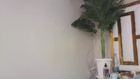 Snapshot of brennan007 chatting on February 14, 2025, 5:25 pm brennan online show from February 14, 2025, 5:25 pm