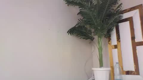 Snapshot of brennan007 chatting on February 14, 2025, 8:26 pm brennan online show from February 14, 2025, 8:26 pm