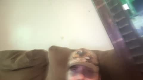Snapshot of brennenangelle24atgmailcom chatting on July 18, 2026, 9:51 pm brennenangelle24atgmailcom online show from July 18, 2026, 9:51 pm